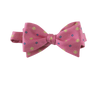 Spring Time Bowties